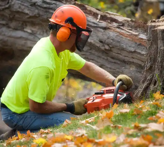 tree services Landfall